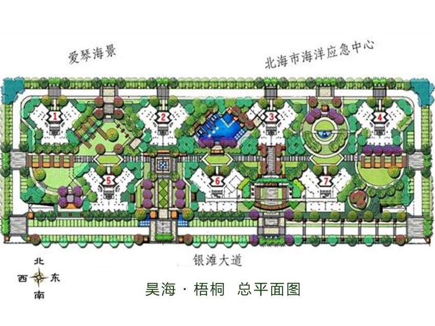 昊海梧桐