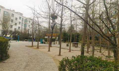 金水花园