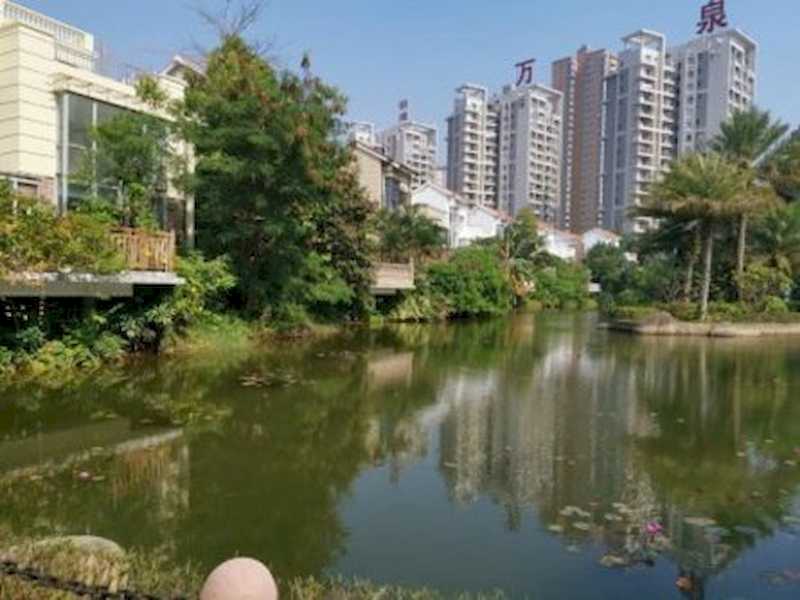 万泉城1区(别墅)