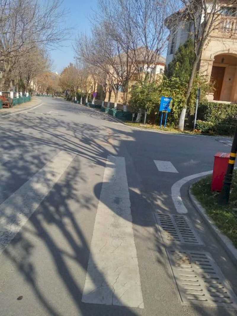 蓝岸丽舍