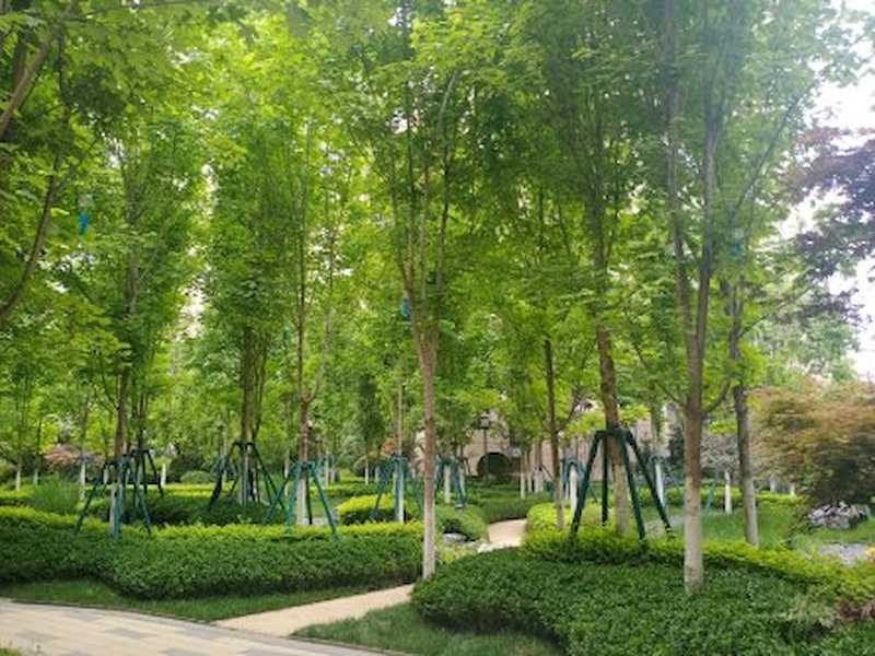 中海曲江大城雍宸小区实景图